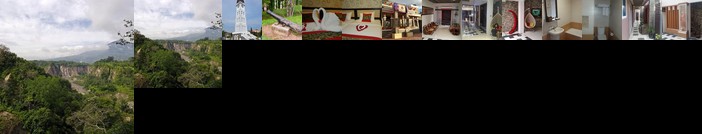 Treeli Boutique Hotel