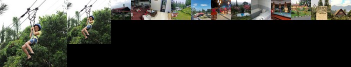 Alfa Resort Hotel and Conference