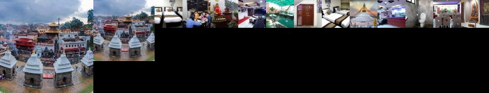 Alpine Hotel & Apartment