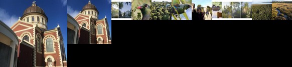 Bushy Point Fernbirds B&B