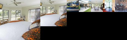 Breakfast with the Kangaroos