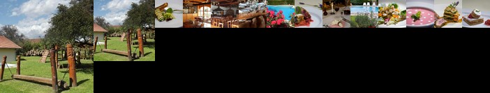 Ginti Panzio es etterem