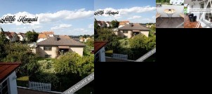 Little Hawaii & Texas