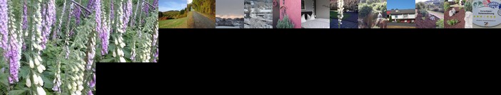 Ferienwohnungen Blum