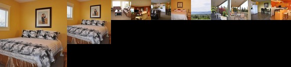 Lakeview Suites & Vacation Rentals
