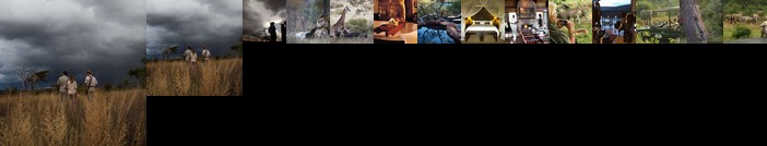 Makweti Safari Lodge