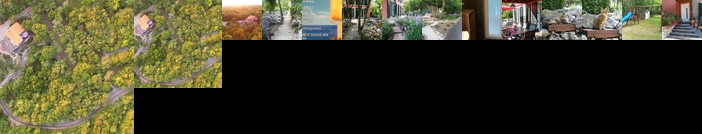 The Forest House Krk 1