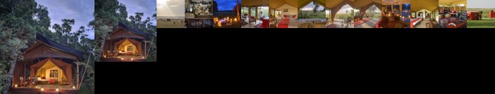 Elephant Pepper Camp