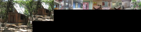 Vieira Pe na Areia Praia Grande