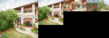 Apartment Andrea 329