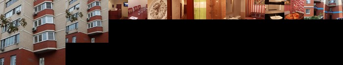 Hotel Lion Lyubertsy