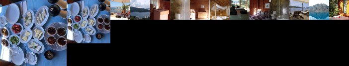 Sakin Vadi Winehouse