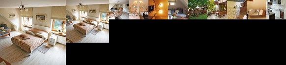 Gosciniec Marzymieta