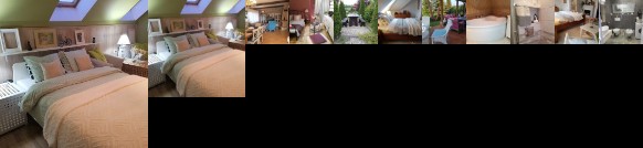 Pokoje Goscinne Magnolia Rooms