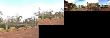 The Country Farm Resort & Homestay