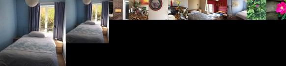 Homestay Norwich