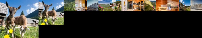 Holzboxen Planneralm