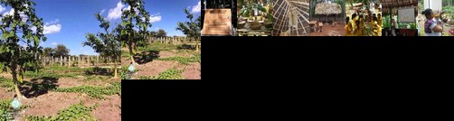 Sacahab Mucuy Camping Site