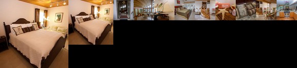 Executive Home with Pool