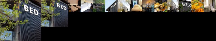 BED Phrasingh-Adults Only