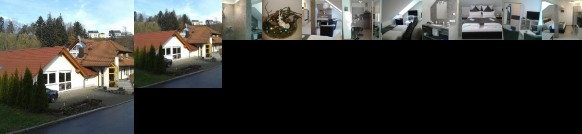 DZT-Schwarzwaldhotel garni