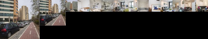 SingularStays Alameda