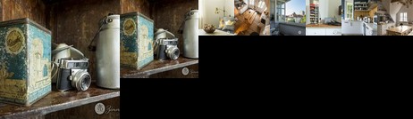 Zimmerblick Villa Dohna