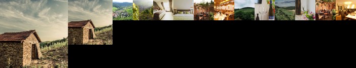 Weingut Hees - Landgasthof Zum Jager aus Kurpfalz