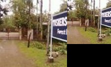 Tuskers Den Forest Resort Lataguri