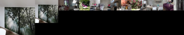 Chambre Zen de Beauval