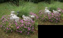 Apartments Marija Funtana