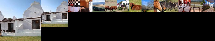 Doornbosch Game Lodge and Guest Houses