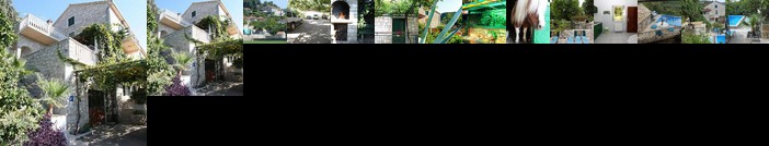 Apartments Kate Postira