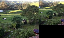 Halcyon Cottage Retreat