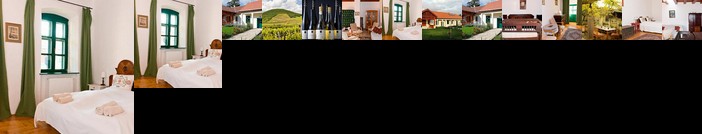 Barta Pince Vendeghaz Mad