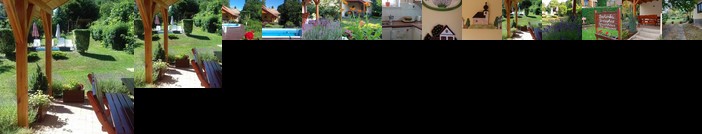 Boglarka Vendeghaz Vasvar