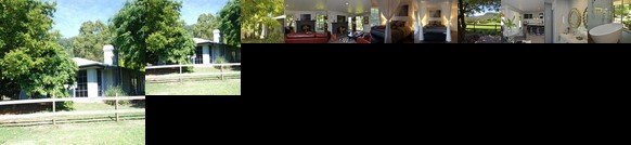 Secrets at Cedar Grove