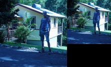 Teretre Cabins Nimbin