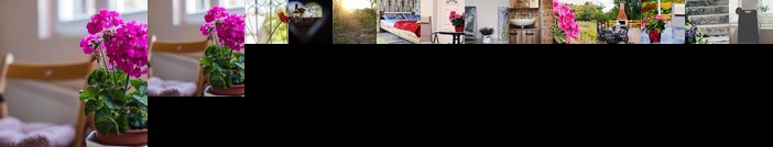 Szoloskert Vendeghaz Baj