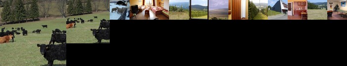 Apartment Ramzova Adam 25