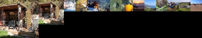 Cabanas Hostel Aquario Papudo