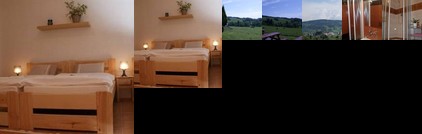 Penzion Stastnej kopec Destne v Orlickych horach