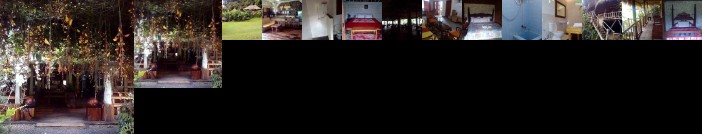 Warung Rekreasi Bedugul