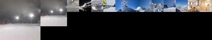 Hotel Roman Maramures