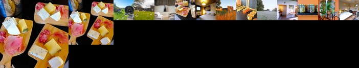 Maison d'Hotes Cerf'titude