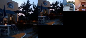 Flying Sumo Surf Company