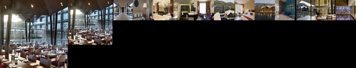 Marasa Sarovar Premiere