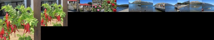 Tophouse Mountainview Cottages