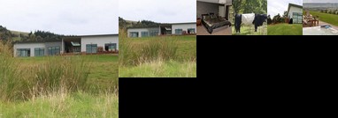 Saddle Hill Farmstay