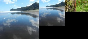 Piha Eco Sanctuary